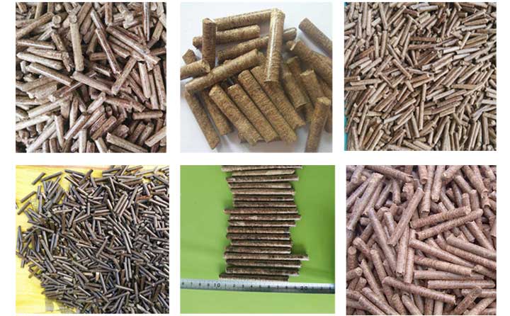 平模顆粒機(jī)壓出顆粒機(jī)實拍圖 平模顆粒機(jī)壓出顆粒機(jī)實拍圖