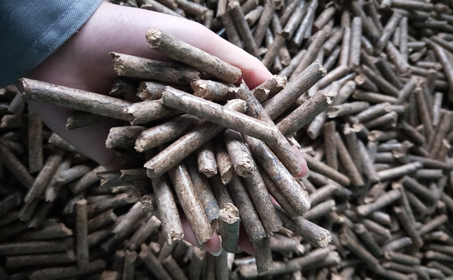 鋸末顆粒機顆粒,一種快速增長的能源載體 鋸末顆粒機顆粒,一種快速增長的能源載體