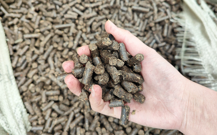 木屑顆粒機將秸稈變廢為寶,降碳節(jié)能一舉兩得 木屑顆粒機將秸稈變廢為寶,降碳節(jié)能一舉兩得