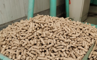 在燃燒時，水分大的生物質顆粒會出現哪些問題？