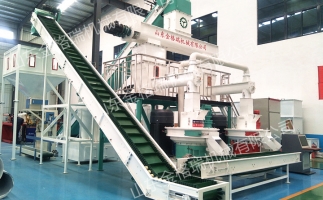 開鋸末顆粒機顆粒廠需要怎么做？