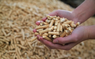 為什么越來越多人選鋸末顆粒機(jī)的生物質(zhì)顆粒取暖？