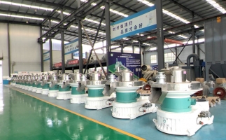 新手開顆粒廠，該選小型還是大型木屑顆粒機？